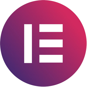 Elementor Pro Installation & Setup Service